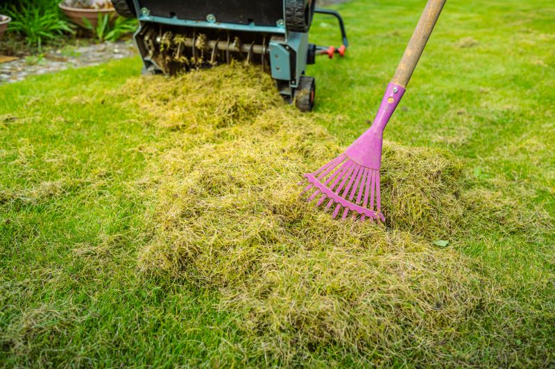 lawn dethatching services