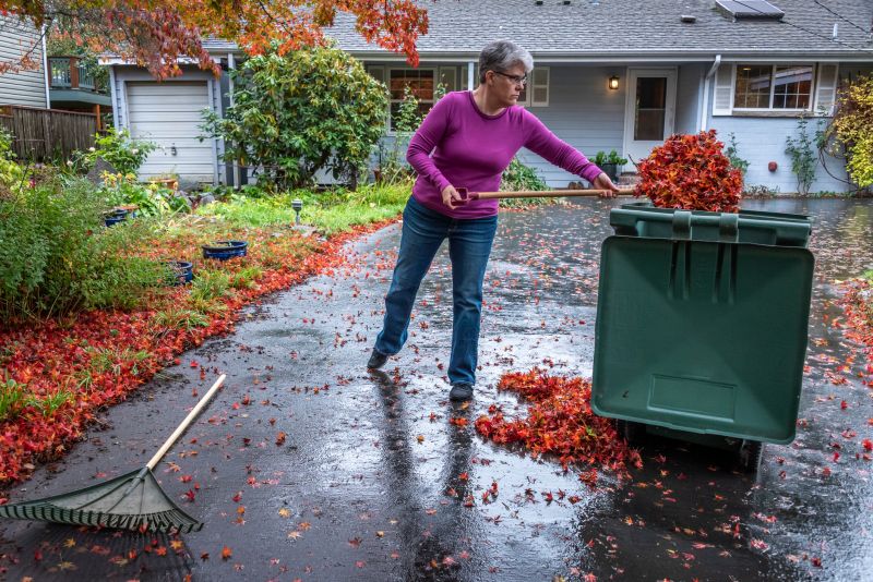 Cleaning Up Fallen Debris