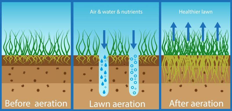 Healthy Soil and Grass
