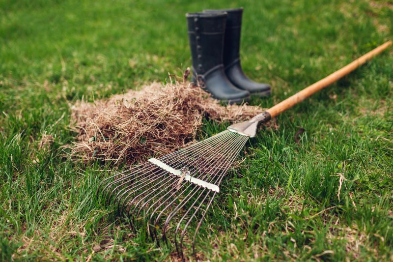Lawn Dethatching Services