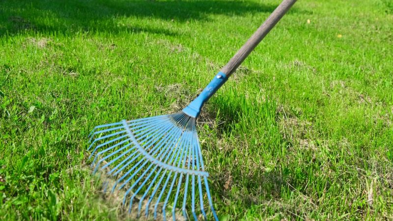 Lawn Dethatching Services