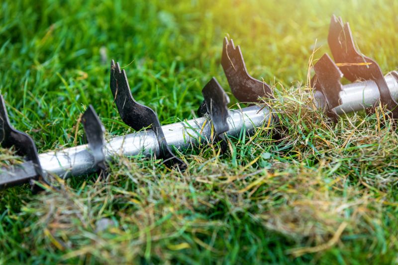 Lawn Dethatching Services
