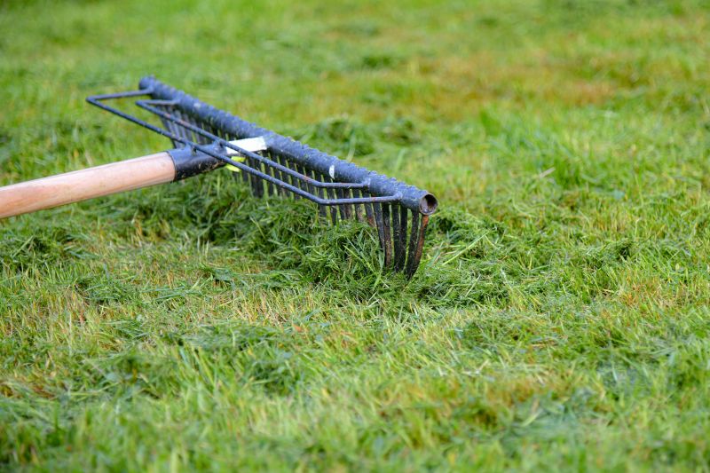 Lawn Dethatching Services