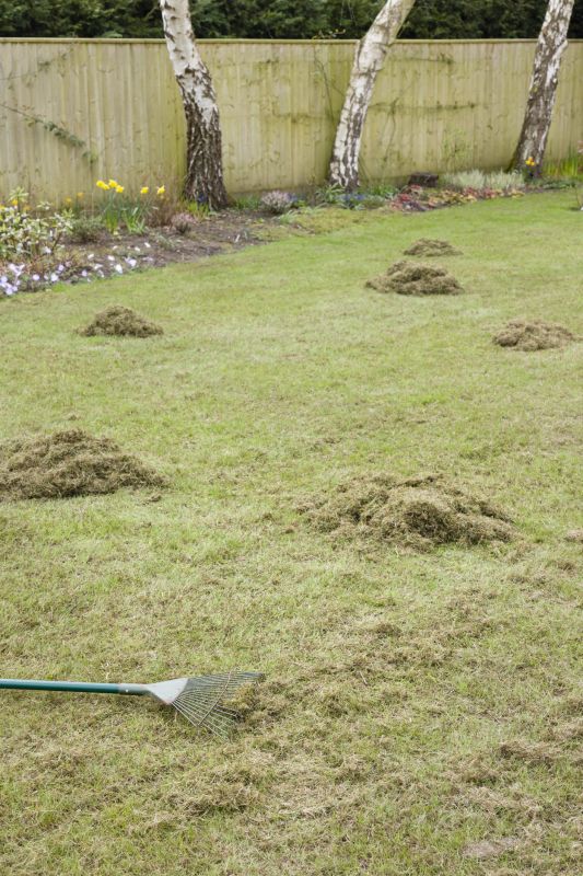 lawn dethatching services